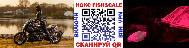 COCAIN Fish Scale  купить наркоту  Нюрба 
