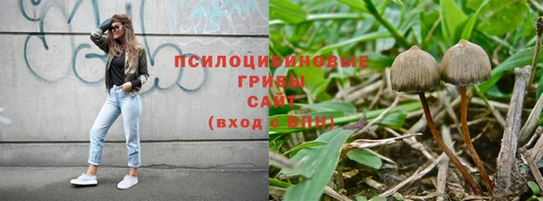 a pvp Костерёво