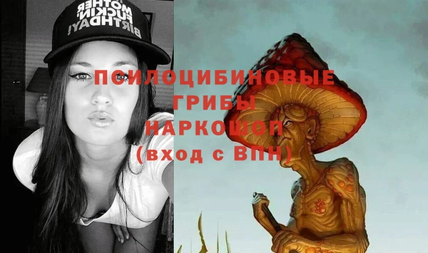 мяу мяу мука Коряжма