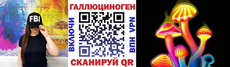купить  цена  Нюрба  Псилоцибиновые грибы Cubensis 